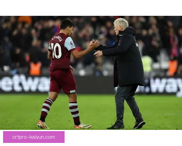 英超布伦特福德球迷抗议活动引发广泛关注与讨论